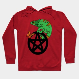 Chameleon Pentacle Hoodie